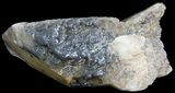 Dogtooth Calcite Crystal - Morocco #50184-1